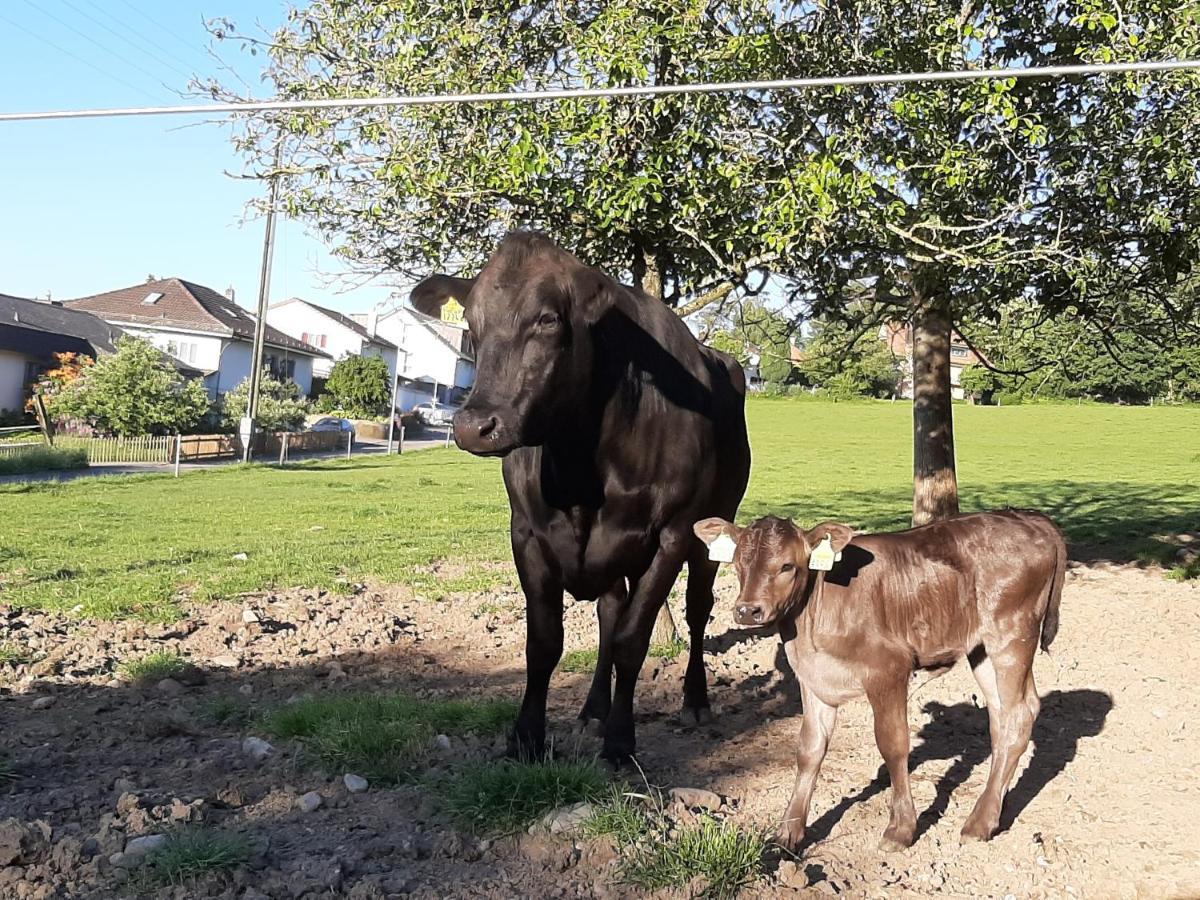 Uelis-Stöckli-Gästezimmer auf belebtem Bauernhof mit Hotpot und Alpakatrekking Meikirch Exterior foto