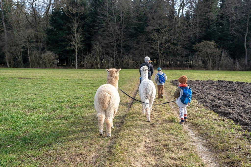 Uelis-Stöckli-Gästezimmer auf belebtem Bauernhof mit Hotpot und Alpakatrekking Meikirch Exterior foto